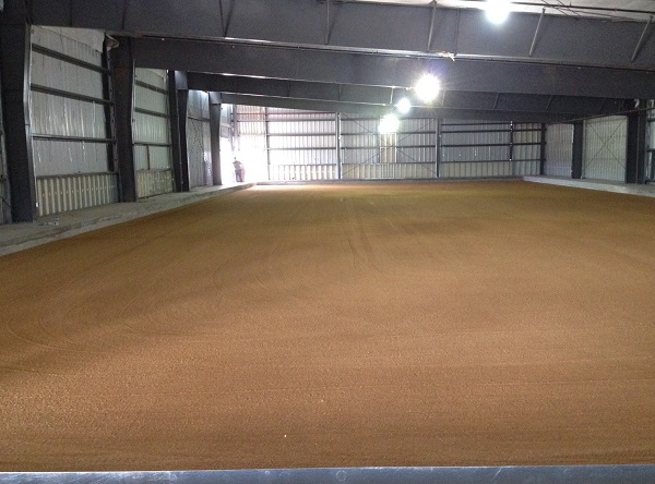 floor sand layer july2014